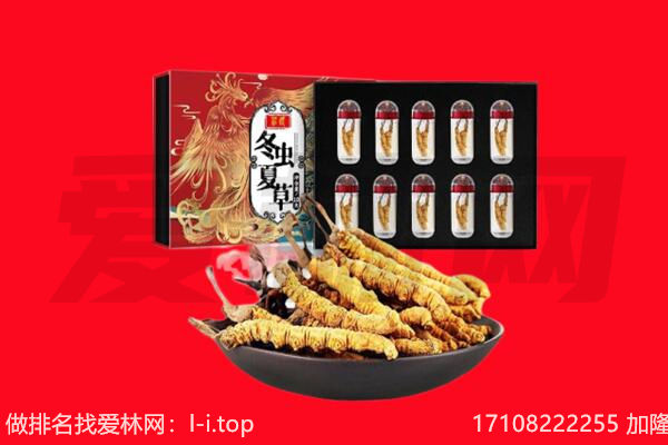 信阳市平桥回收虫草.jpg